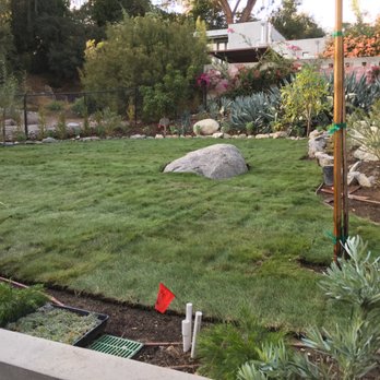 Soils Solutions - No mow, La Canada, CA - Landscaping Near Me