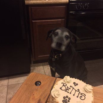 Three Dog Bakery - Pet Stores Near Me - Las Vegas, Nevada Three Dog Bakery - Pet Stores Near Me - Las Vegas, Nevada