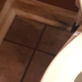 The Colonies at Williamsburg - leaky toilet. - Resorts Near Me - Williamsburg, Virginia The Colonies at Williamsburg - leaky toilet. - Resorts Near Me - Williamsburg, Virginia