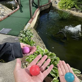 Shell We Golf - Mini Golf Near Me - Rehoboth Beach, Delaware