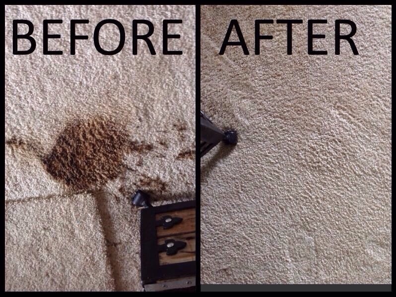 FLOOR SEASONS Updated September 2024 Heber City, Utah Carpet