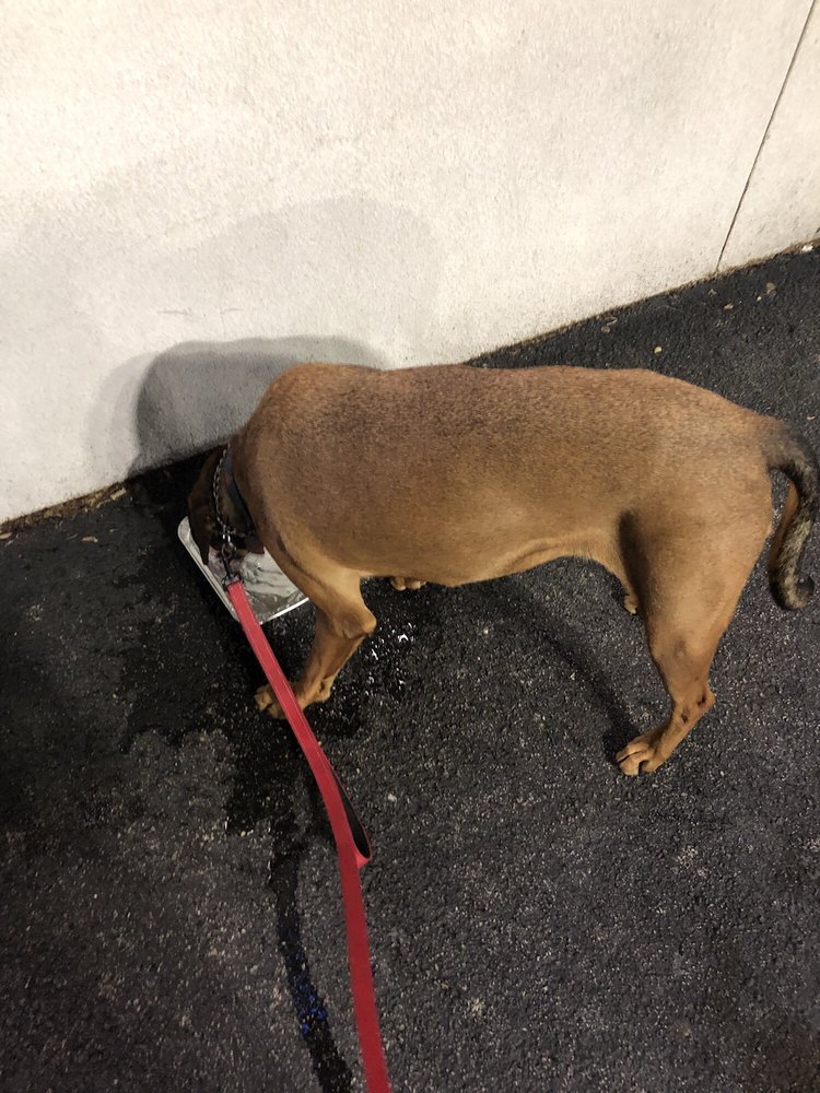 MARTIN PREOWNED Updated September 2024 298 E Cleveland Ave, Newark