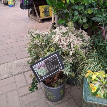 Cedar Rim Nursery - Nurseries & Gardening Near Me - Langley, British Columbia