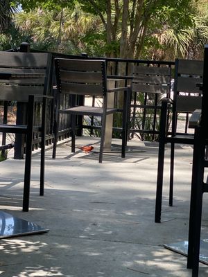 Hilton Head Social Bakery South by null