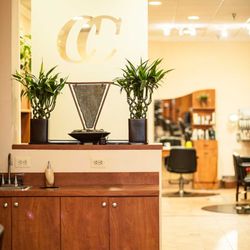 CC Salon in Centreville gift card