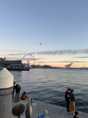 Pier 62 by null