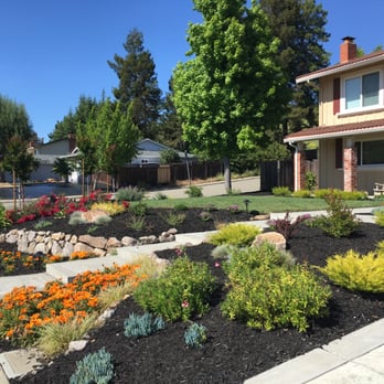 Vince's Landscaping - Front Yard - Landscaping Near Me - Martinez, California