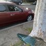 Solution Auto Glass