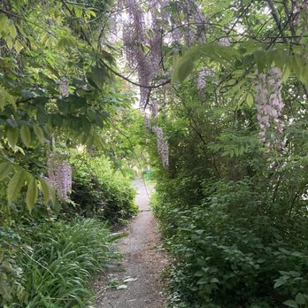 Low Rate Hauling & Yard Clean Up - Before - Junk Removal & Hauling Near Me Low Rate Hauling & Yard Clean Up - Before - Junk Removal & Hauling Near Me