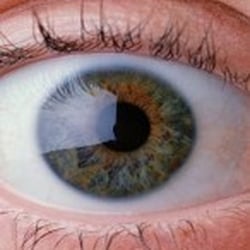 Brandon Eye Associates