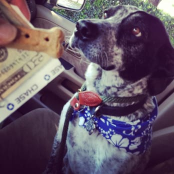 Chase Bank - Cash for me and a dog biscuit for Leroy! Thanks @jpmorgan Chase! - Banks & Credit Unions Near Me - Austin, Texas Chase Bank - Cash for me and a dog biscuit for Leroy! Thanks @jpmorgan Chase! - Banks & Credit Unions Near Me - Austin, Texas