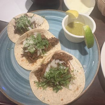 El Potro - Tacos Barbacoa (3) - Mexican Near Me - Winter Park, Florida