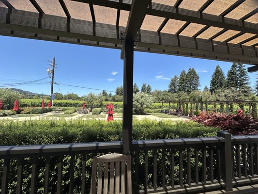 Orsi Family Vineyards by null