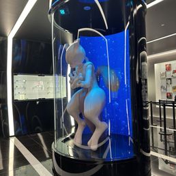 未使用 未開封 2021 Pokemon center アクセサリースタンド Pokemon Center 2021 Pokemon accessory Series Jewelry Display