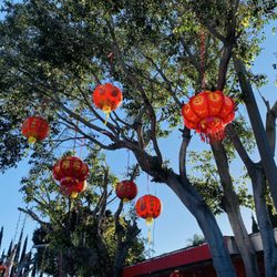 Pho Da Buddhist Temple - Paper lanterns for Tết, Vietnamese Lunar New Year