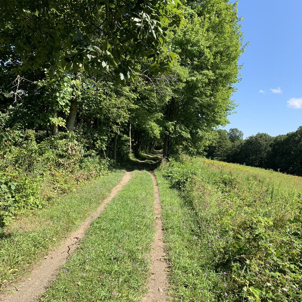New Paltz Biking - Mohonk Preserve Trail - Bike Rentals Near Me - New Paltz, New York New Paltz Biking - Mohonk Preserve Trail - Bike Rentals Near Me - New Paltz, New York