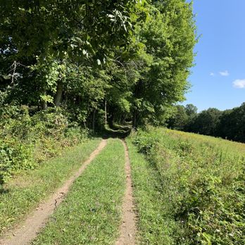 New Paltz Biking - Mohonk Preserve Trail - Bike Rentals Near Me - New Paltz, New York