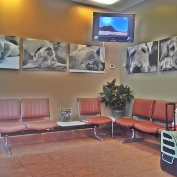 BluePearl Pet Hospital - Beautiful photos of animals on the wall of the waiting area. The waiting area is big, only a portion of the waiting area. - Veterinarians Near Me - Forest Hills, New York