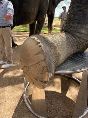 The Preserve by null