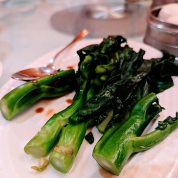 Arco Seafood Restaurant 東海海鮮酒家 - Chinese Broccoli - Seafood Near Me - Houston, Texas Arco Seafood Restaurant 東海海鮮酒家 - Chinese Broccoli - Seafood Near Me - Houston, Texas