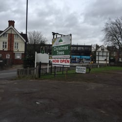 Pines and Needles - Dulwich - New signage this year