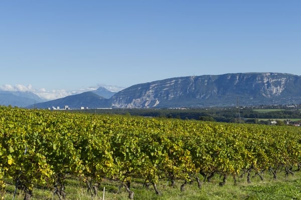 Domaine Les Perrières by null