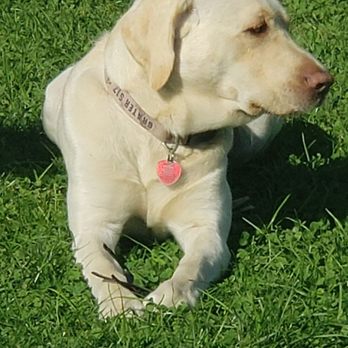 Bennett Orchard - Grater, was cute pup! - Specialty Food Near Me - Ottawa Lake, Michigan
