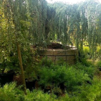 Lisa Arnold Nursery Sales - Nurseries & Gardening Near Me - Sunol, California Lisa Arnold Nursery Sales - Nurseries & Gardening Near Me - Sunol, California