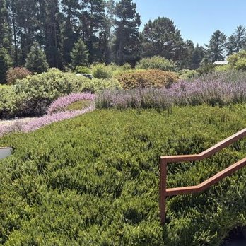 Humboldt Botanical Garden - Beautiful! Relaxing! - Community Service/Non-Profit Near Me - Eureka, California