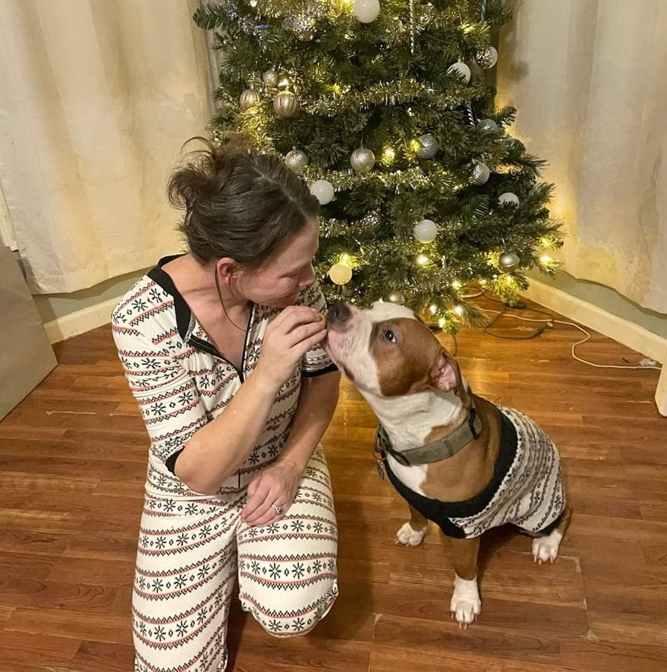 FAMILY CLEANING AND CONTRACTING Elgin, Illinois Home Cleaning