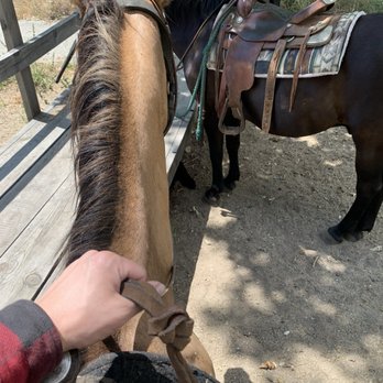 Cable Canyon Trail Rides - Horseback Riding Near Me - San Bernardino, California