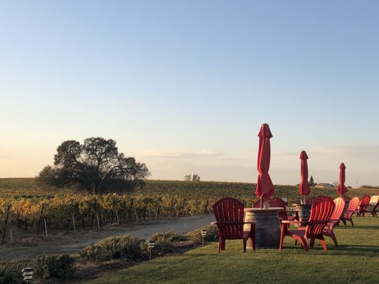 Bokisch Vineyards by null