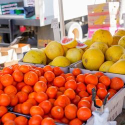 Davis Farmers Market - Fruits