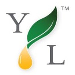 Ramsey Massage - Young Living Oils sold here.