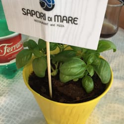 Sapori di Mare - Centrotavola