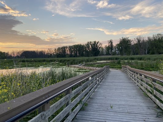 Lake Saint Clair Metropark by null