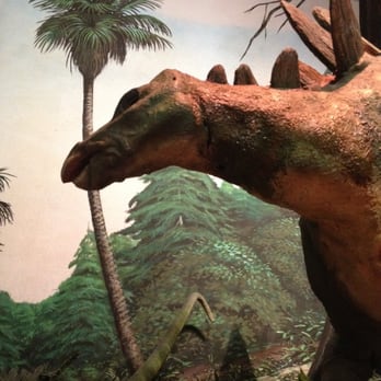 Pacific Science Center - Museums Near Me - Seattle, Washington