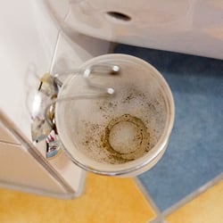 FeWo - Der Blick in den Behälter der WC Bürste