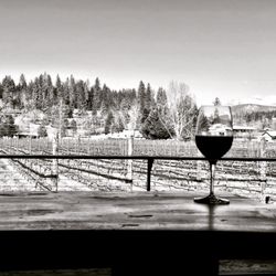 Apricity Vineyard - Views
