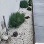Photo of Bernal Landscaping & Gardening Service