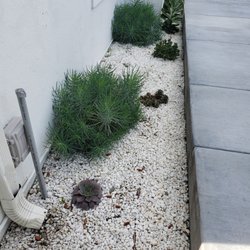 Bernal Landscaping & Gardening Service - Gardening Services