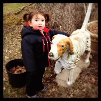 Tarheel Total Pet Care - Future kennel owner???? - Pet Sitting Near Me - Bedminster, New Jersey Tarheel Total Pet Care - Future kennel owner???? - Pet Sitting Near Me - Bedminster, New Jersey