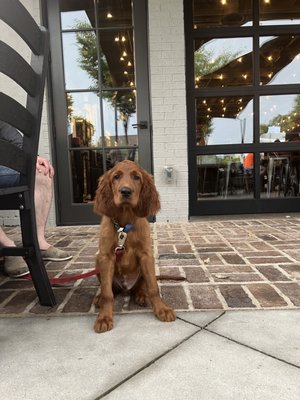 Glover Park Brewery by null