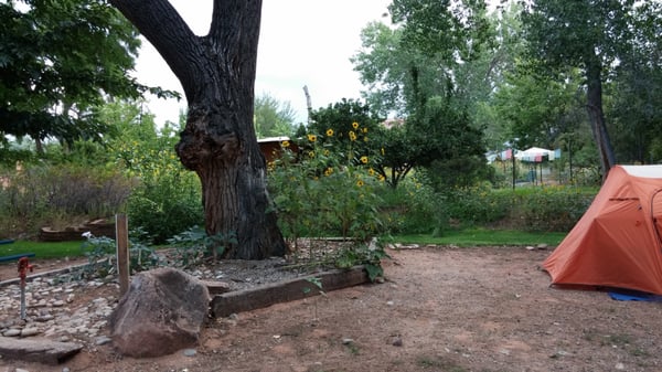 Up the Creek Campground by null