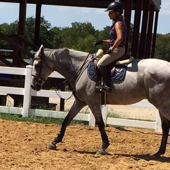 North Dallas Equestrian - Maria, one of our awesome instructors! - Venues & Event Spaces Near Me - McKinney, Texas North Dallas Equestrian - Maria, one of our awesome instructors! - Venues & Event Spaces Near Me - McKinney, Texas
