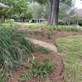 Louisiana Roots Landscape - Natural Landscape & Drainage Solutions - Landscaping Near Me - Forest Hill, Louisiana Louisiana Roots Landscape - Natural Landscape & Drainage Solutions - Landscaping Near Me - Forest Hill, Louisiana