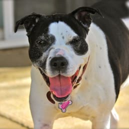 Another happy customer of Country Kennels! :) Another happy customer of Country Kennels! :)