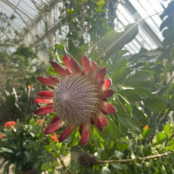Kew Gardens - Botanical Gardens Near Me