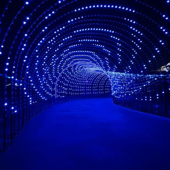 Zoolights - Zoos Near Me - Phoenix, Arizona