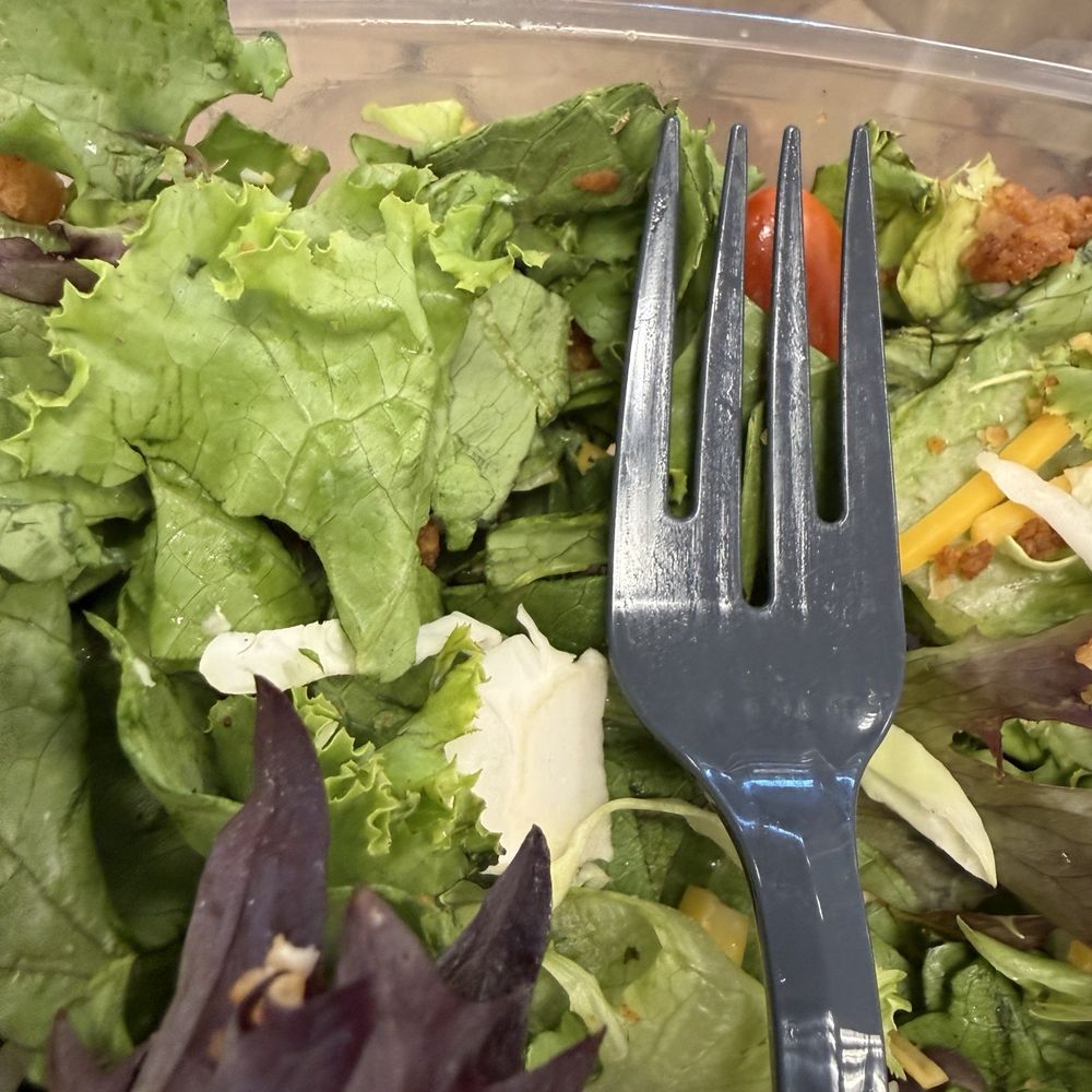 Insect in my spicy Spicy Southwest Salad Insect in my spicy Spicy Southwest Salad